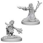 WizKids Dungeons and Dragons Nolzur's Marvelous Minis Gnome Wizard