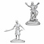 WizKids Dungeons and Dragons Nolzur's Marvelous Minis Male Tiefling Warlock
