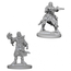 WizKids Pathfinder Deep Cuts Male Human Wizard