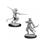 WizKids Dungeons and Dragons Nolzur's Marvelous Minis Tabaxi Rogue