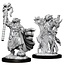 WizKids Dungeons and Dragons Nolzur's Marvelous Minis Dragonborn Sorcerer (2) Female