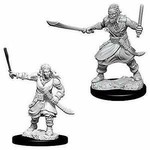 WizKids Dungeons and Dragons Nolzur's Marvelous Minis Bandits