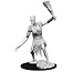 WizKids Dungeons and Dragons Nolzur's Marvelous Minis Stone Giant