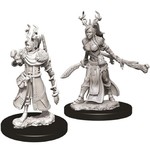 WizKids Dungeons and Dragons Nolzur's Marvelous Minis Female Human Druid