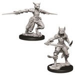 WizKids Dungeons and Dragons Nolzur's Marvelous Minis Female Tabaxi Rogue