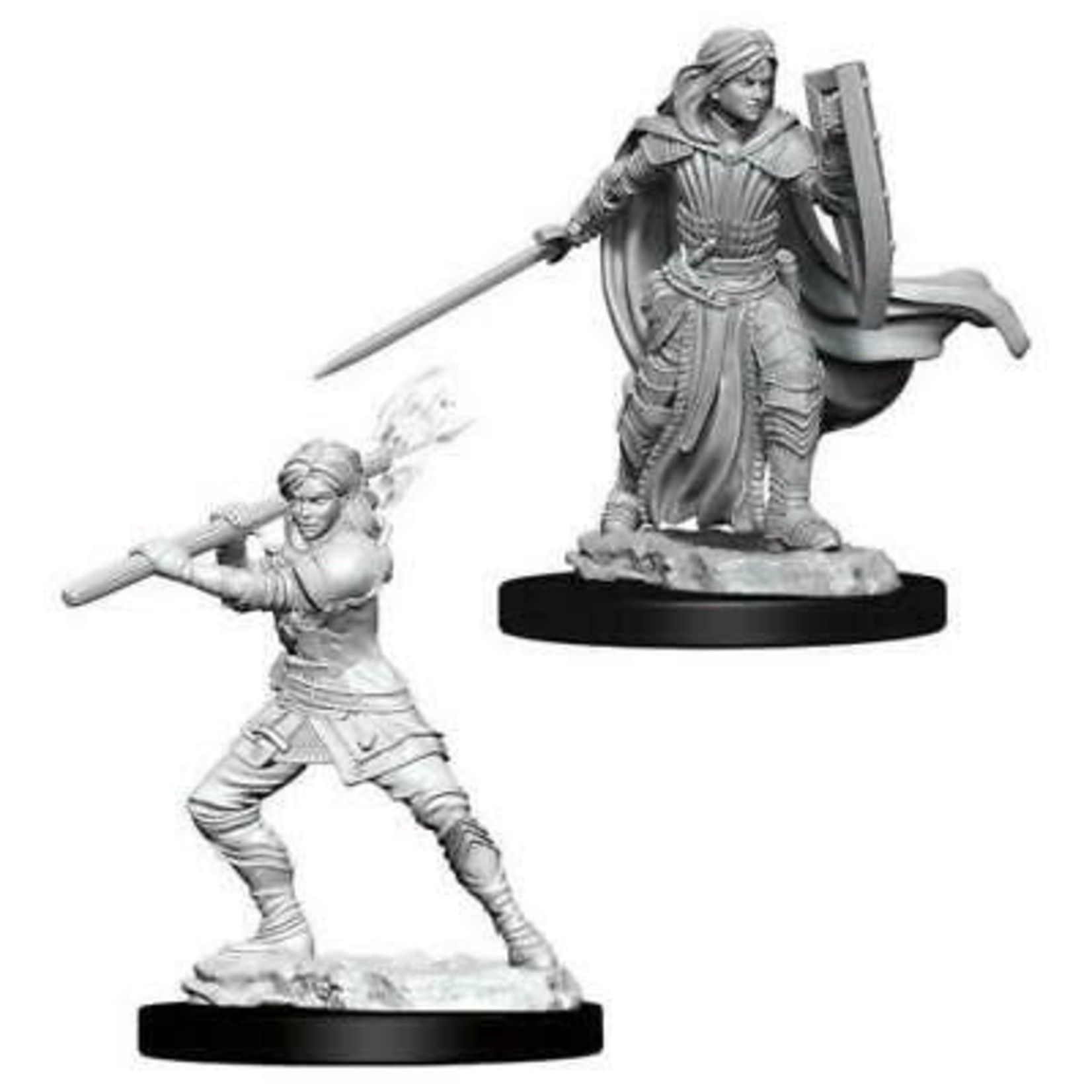 WizKids Dungeons and Dragons Nolzur's Marvelous Minis Female Human Paladin