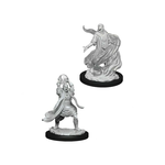 WizKids Dungeons and Dragons Nolzur's Marvelous Minis Male Elf Sorceror