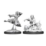 WizKids Dungeons and Dragons Nolzur's Marvelous Minis Female Human Monk