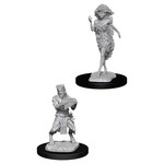 WizKids Dungeons and Dragons Nolzur's Marvelous Minis Satyr and Dryad