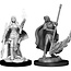 WizKids Pathfinder Deep Cuts Female Human Oracle Magic User