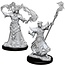 WizKids Pathfinder Deep Cuts Male Human Sorceror