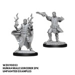 WizKids Dungeons and Dragons Nolzur's Marvelous Minis Male Human Sorceror