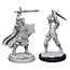 WizKids Dungeons and Dragons Nolzur's Marvelous Minis Male Human Paladin