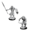 WizKids Dungeons and Dragons Nolzur's Marvelous Minis Gnoll and Gnoll Flesh Gnawer