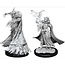 WizKids Pathfinder Deep Cuts Cultist and Devil