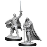 WizKids Dungeons and Dragons Nolzur's Marvelous Minis Human Paladin Male