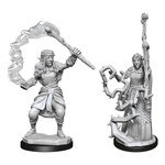 WizKids Dungeons and Dragons Nolzur's Marvelous Minis Firbolg Druid Female