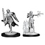 WizKids Dungeons and Dragons Nolzur's Marvelous Minis Multiclass Warlock Sorceror Female