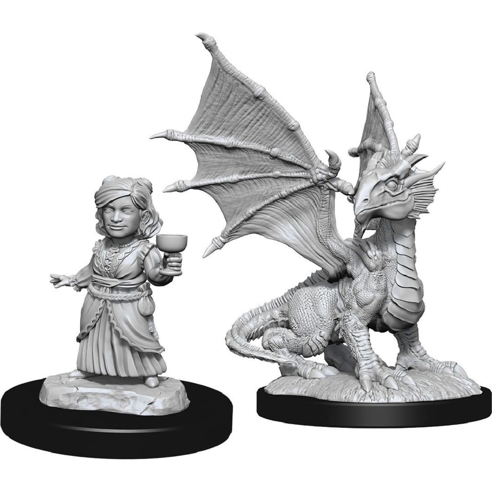 WizKids Dungeons and Dragons Nolzur's Marvelous Minis Silver Dragon Wyrmling and Female Halfling