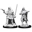 WizKids Pathfinder Deep Cuts Human Rogue Male