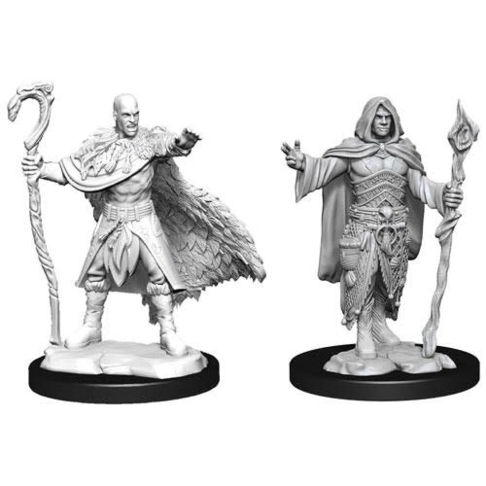 WizKids Dungeons and Dragons Nolzur's Marvelous Minis Human Druid Male
