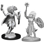WizKids Dungeons and Dragons Nolzur's Marvelous Minis Changeling Cleric Monk