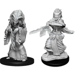 WizKids Dungeons and Dragons Nolzur's Marvelous Minis Night Hag and Dusk Hag