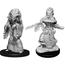 WizKids Dungeons and Dragons Nolzur's Marvelous Minis Night Hag & Dusk Hag
