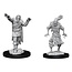 WizKids Dungeons and Dragons Nolzur's Marvelous Minis Scarecrow & Stone Cursed
