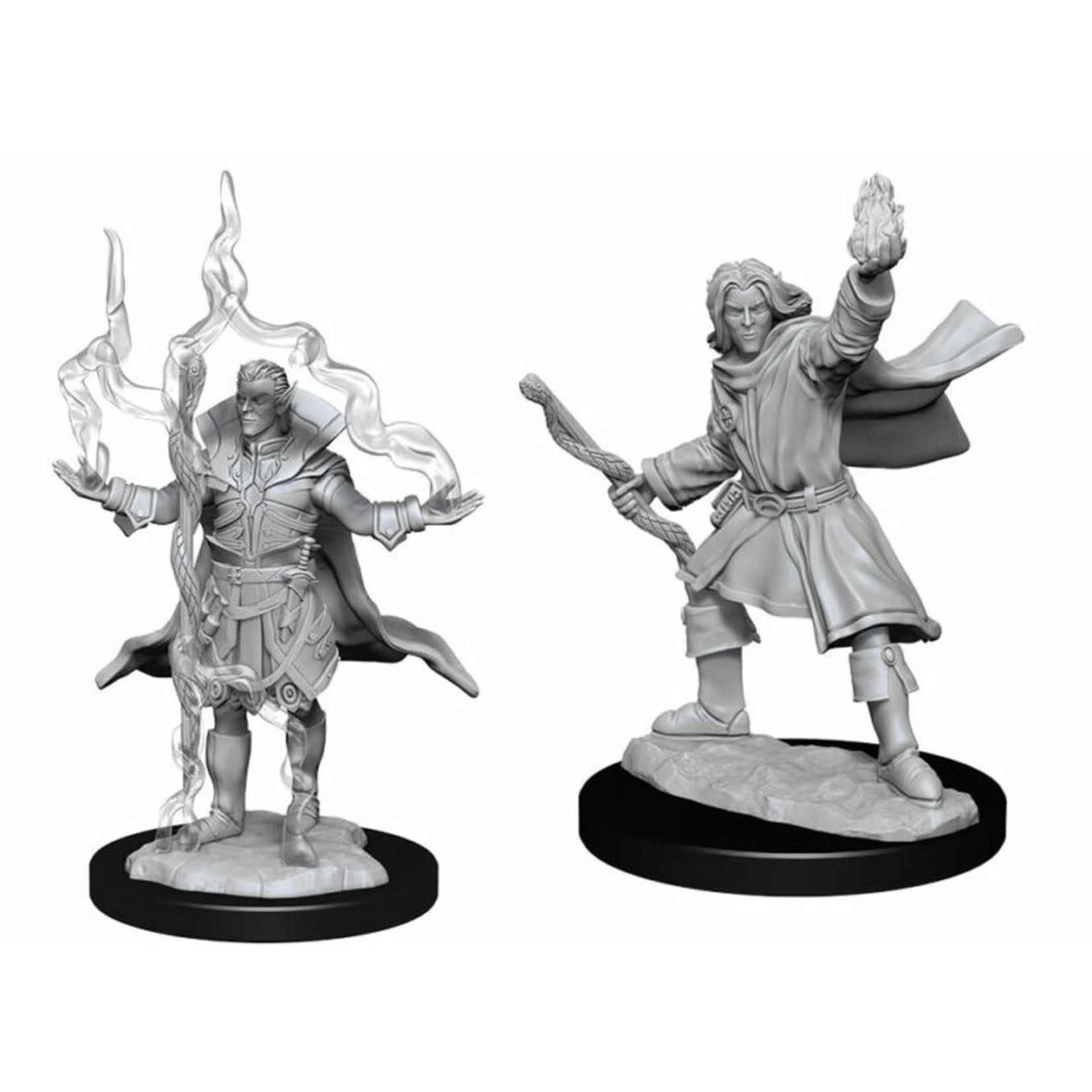 WizKids Pathfinder Deep Cuts Elf Sorcerer Male