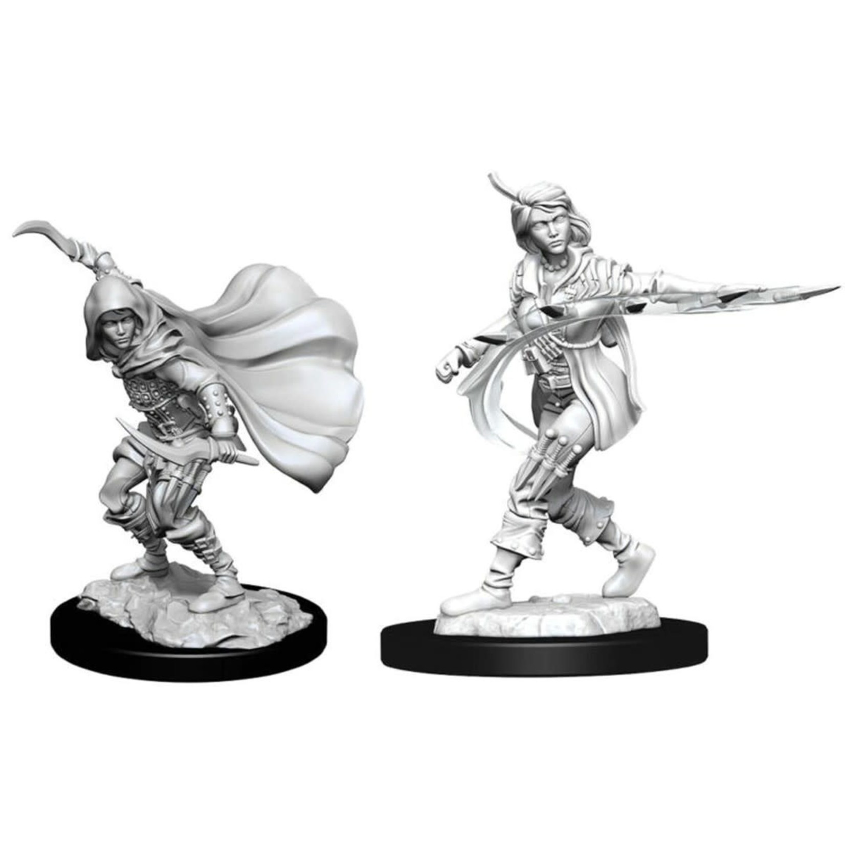 WizKids Pathfinder Deep Cuts Human Rogue Female