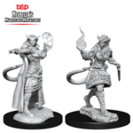 WizKids Dungeons and Dragons Nolzur's Marvelous Minis Tiefling Sorcerer Female