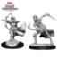 WizKids Dungeons and Dragons Nolzur's Marvelous Minis Air Genasi Female