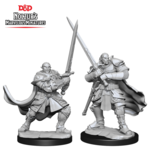 WizKids Dungeons and Dragons Nolzur's Marvelous Minis Half-Orc Paladin Male