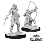 WizKids Pathfinder Deep Cuts Human Fighter Female