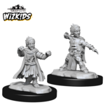 WizKids Pathfinder Deep Cuts Mini Halfling Monk Male
