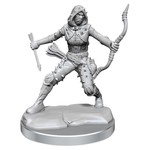 WizKids Dungeons and Dragons Frameworks Human Rogue Female