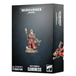 Games Workshop Warhammer 40k Imperium Adepta Sororitas Canoness