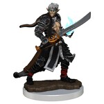 WizKids Pathfinder Battles Premium Male Elf Magus