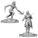 WizKids Dungeons and Dragons Nolzur's Marvelous Minis Half-Elf Rogue Female