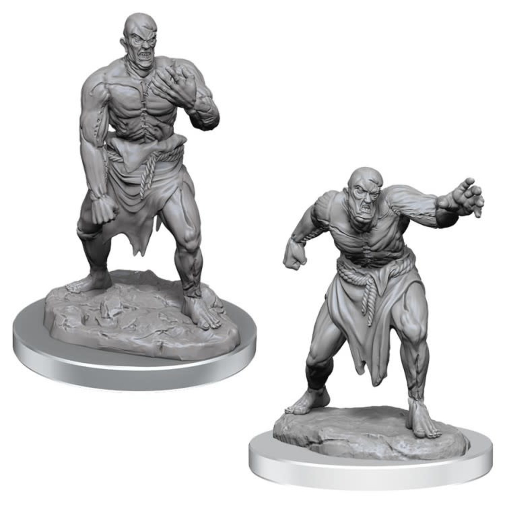 WizKids Dungeons and Dragons Nolzur's Marvelous Minis Flesh Golems