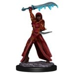 WizKids Dungeons and Dragons Icons of the Realms Premium Human Rogue Female