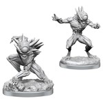 WizKids Dungeons and Dragons Nolzur's Marvelous Minis Nothics