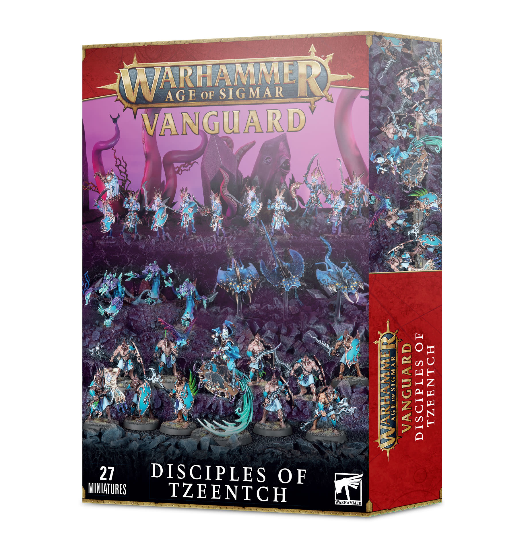 Amazon.com: AGE OF SIGMAR:DISCIPLES OF TZEENTCH DICE : Toys