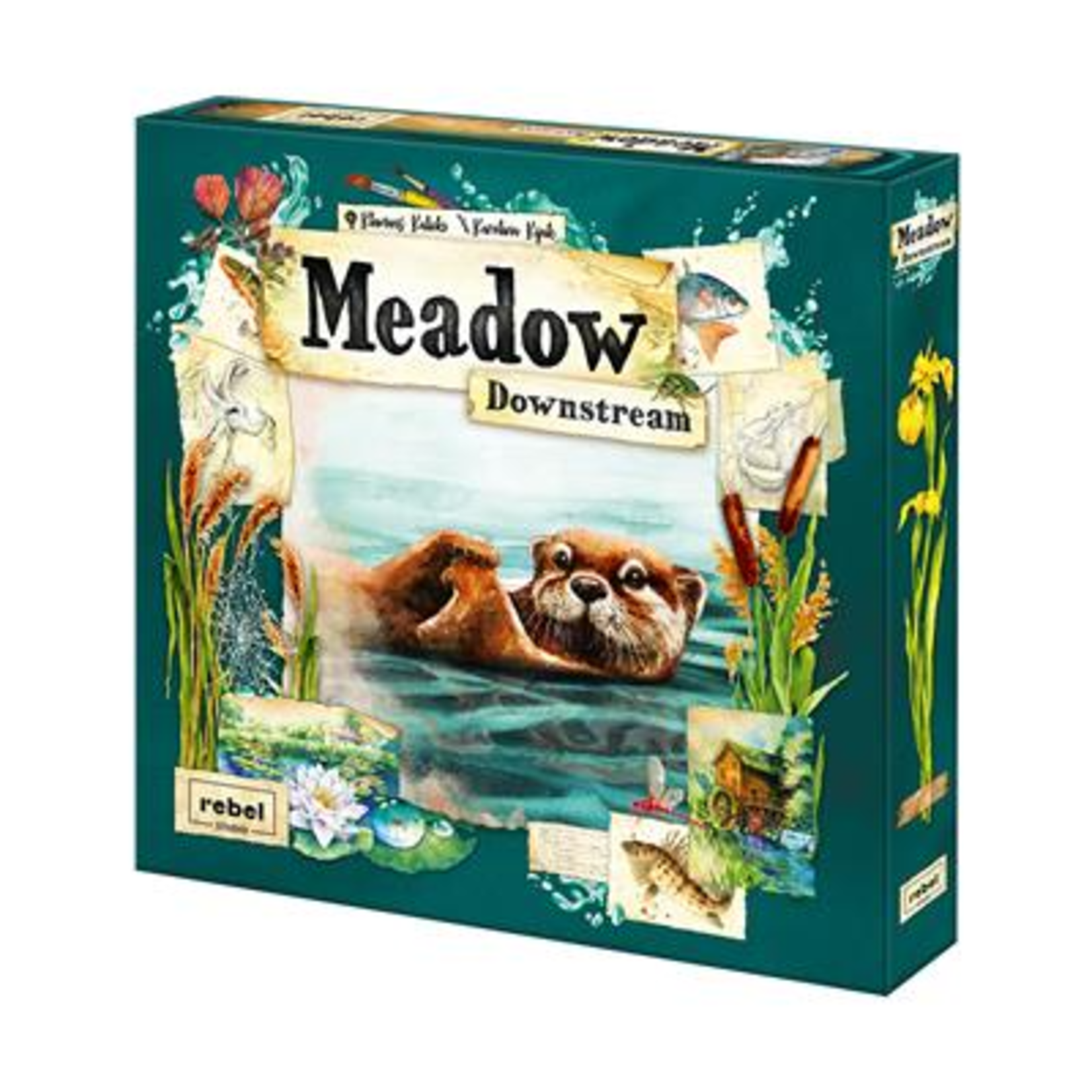 Rebel Meadow Downstream Expansion