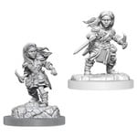 WizKids Dungeons and Dragons Nolzur's Marvelous Minis Halfling Rogue Female