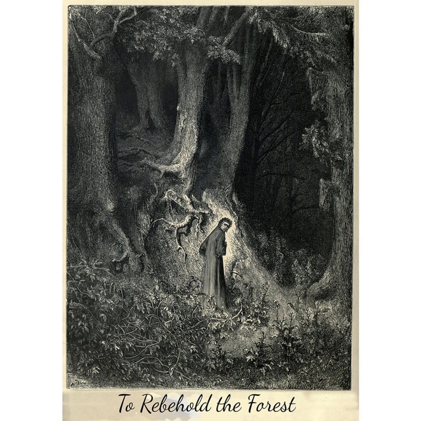 Stratagemma Edizioni To Rebehold The Forest