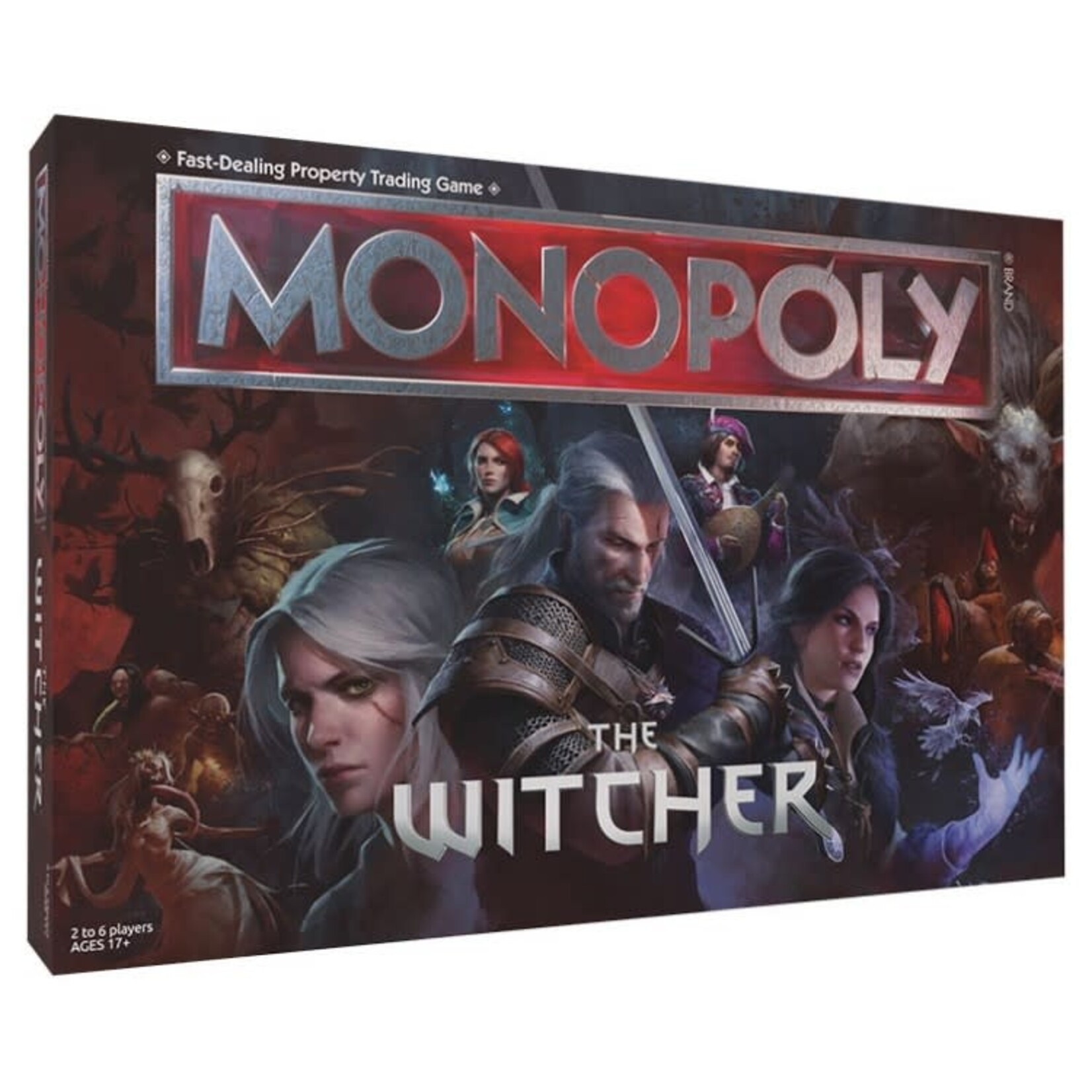 USAopoly Monopoly The Witcher