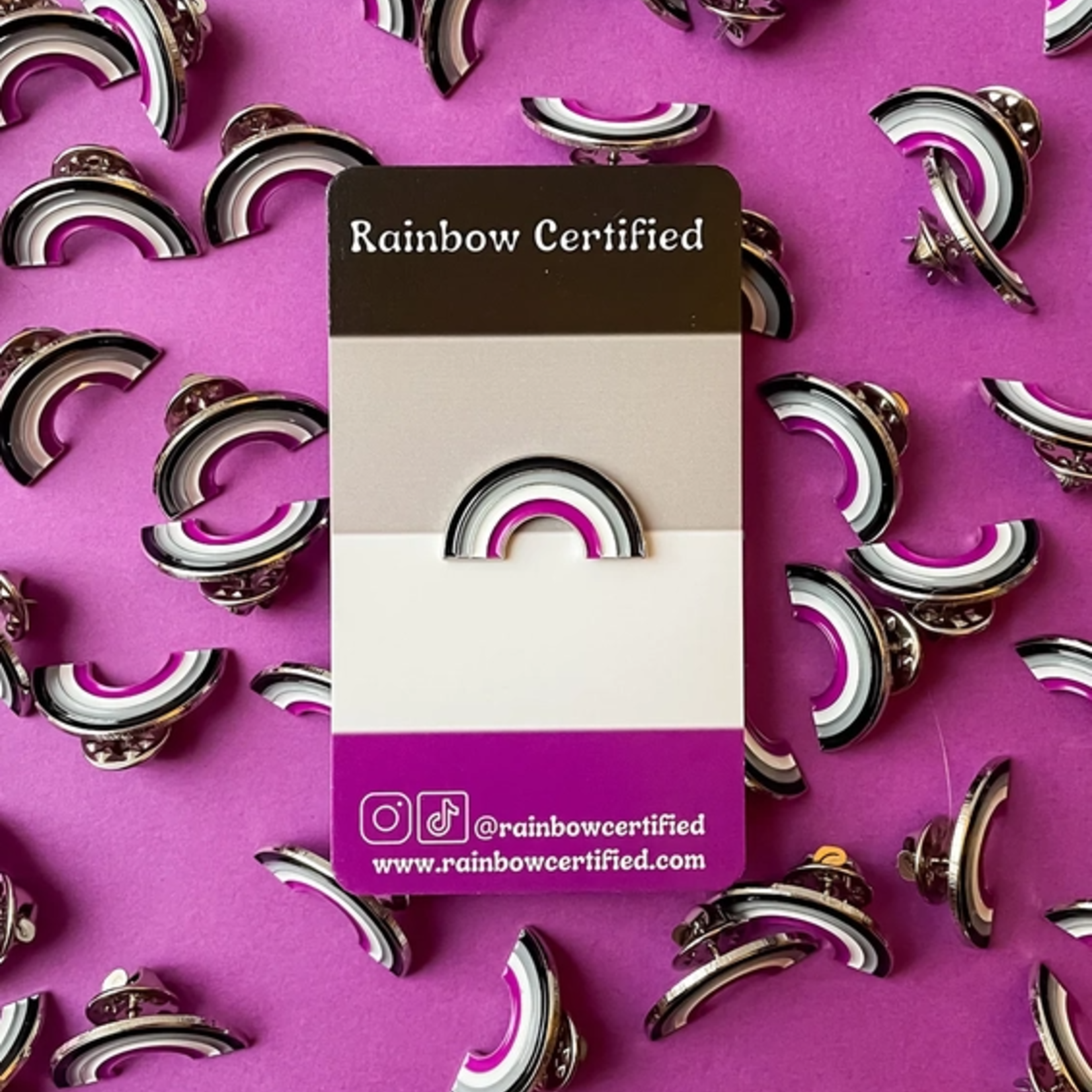 Rainbow Certified Asexual Pride Rainbow Enamel Pin