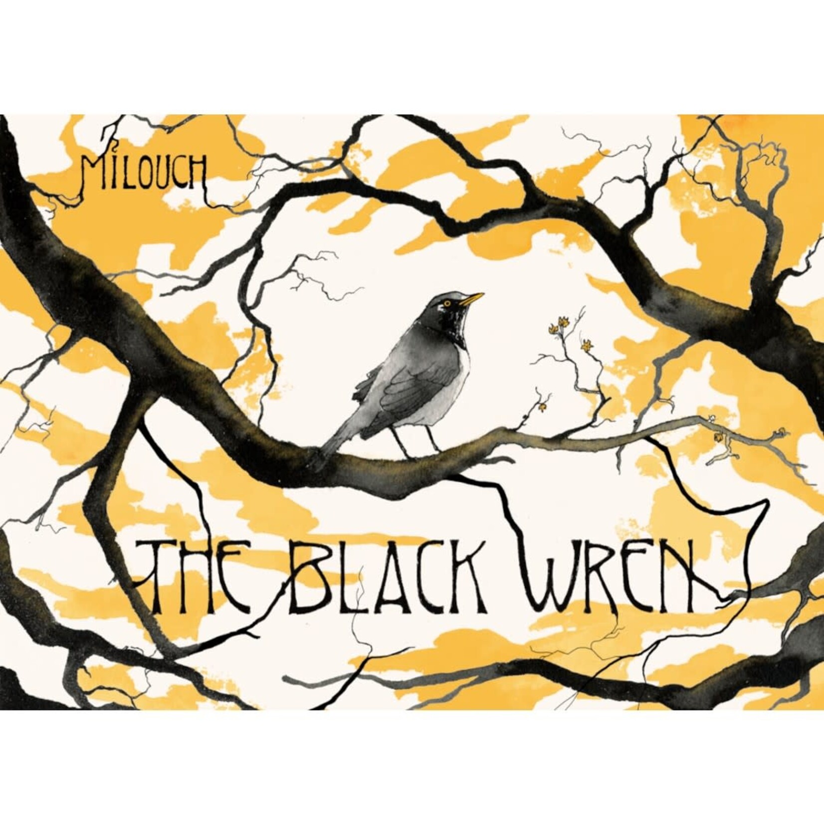 Milouch The Black Wren